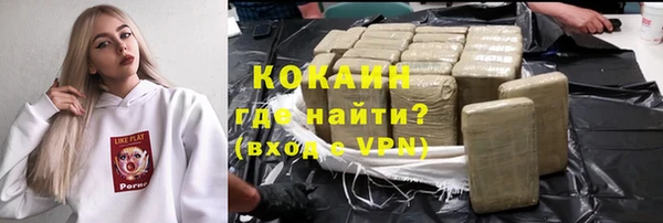 эйфоретик Бородино