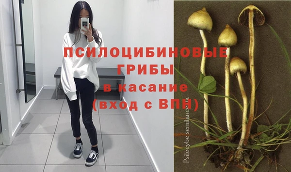 эйфоретик Бородино