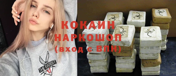 прущие грибы Орск