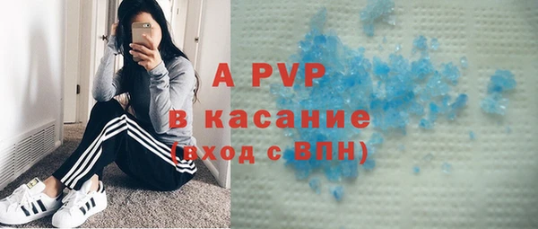 эйфоретик Бородино