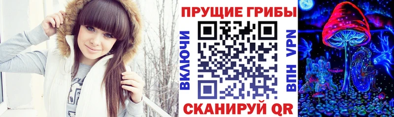 купить наркотик Горняк кракен сайт Галлюциногенные грибы MAGIC MUSHROOMS